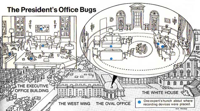 office bugs